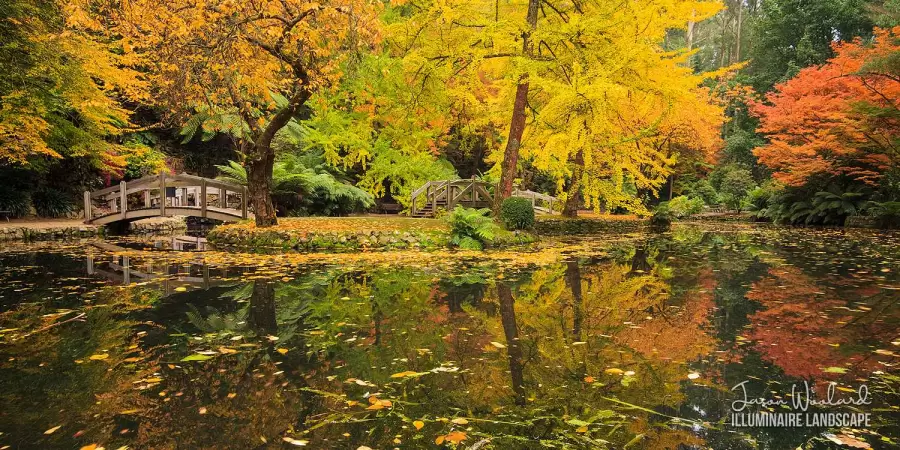 Alfred Nicholas Memorial Gardens, Sherbrooke, Victoria, Australia