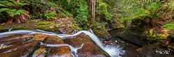 The Liffey River drops into a spectacular winding ravine with gorgeous woods above. Liffey, Tasmania, Australia - Jason Woolard