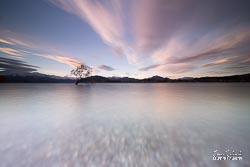 The Wanaka Tree sits in a subtle palette of colours with soft, streaky clouds above and soft, rocky textures below. Wanaka, Otago, South Island, New Zealand - Illuminaire Landscape